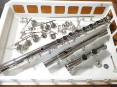 Item thumbnail for item 01b96e9d-3e95-4a2f-b0da-29b639e8ea02