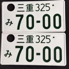 観賞用 普通車 字光式 ナンバープレート 富士山ナンバー 3776 1枚