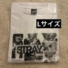 RUN IT JAPAN スキズ フォトTシャツ Lサイズ 白