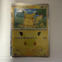 ポケパークのピカチュウ PROMO PCG-Pプロモカード 043/PCG-P - メルカリ