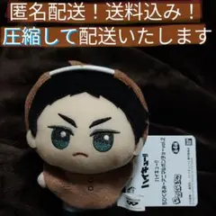 【匿名配送】タグ付未使用品　ハイキュー!!ちびくるみアニマルポンチョ　赤葦京治