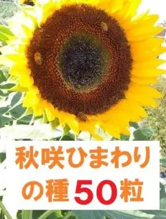 ゆう様 リクエスト 3点 まとめ商品