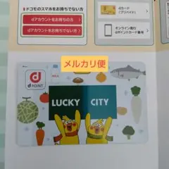 dポイントカード　ポインコ兄弟　北海道　LUCKY　CITY　限定　オリジナル