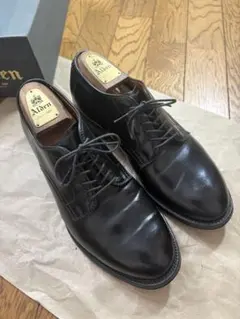 オールデン　Alden 53511 8Dのサムネイル