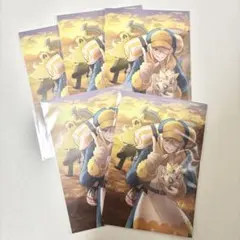 ポケマス EX アニメイトフェア シロナ ウォロ ポストカード 特典 5枚