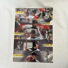 くら寿司×阪神タイガース 限定クリアファイル