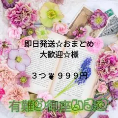 即日発送☆おまとめ大歓迎☆様 3つ ９９９円
