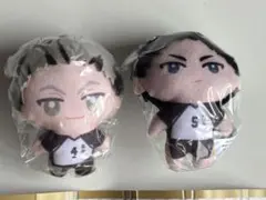 ハイキュー!! かぷっこふれんず3赤葦京治　木兎光太郎　2体セット