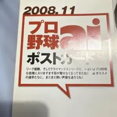 片岡易之 プロ野球ai ポストカード 2008年 西武ライオンズ