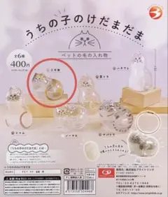 うちの子のけだまだま　三毛猫　ガチャガチャ　正規品