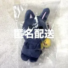 RIIZE WONBIN ver. トニャンドク 40cm ぬいぐるみ - メルカリ