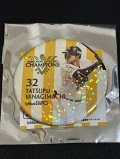 柳町達 スポーツ選手