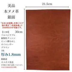 Item thumbnail for item 1dc5a672-c23f-4c10-9d60-168437c3926b