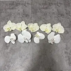 造花　胡蝶蘭　飾り付け用