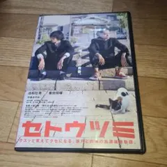 2026年最新】ドラマ25 セトウツミ DVD-BOXの人気アイテム - メルカリ