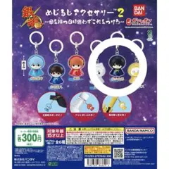 銀魂 めじるしアクセサリー 2 桂小五郎