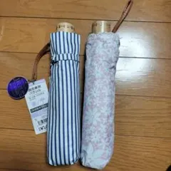 Item thumbnail for item 3db3666c-fd4e-449c-a481-2688114dcfdd