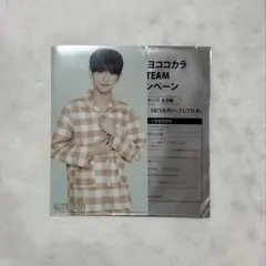 &TEAM HARUA ハルア マルチケース ミニクリアファイル 2弾