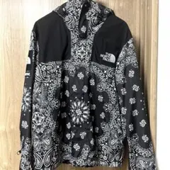 Supreme TheNorthFace Bandana Parkaのサムネイル