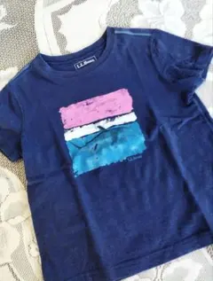 L.L.Bean Tシャツ S4 100から110
