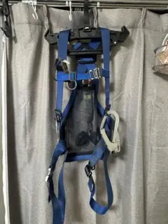 Item thumbnail for item 2970a7df-3876-440a-9820-376555f71533