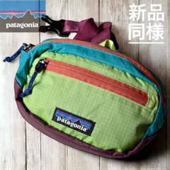 patagonia パタゴニア ウエストポーチ ボディバッグ サコッシュ