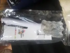 Kis-My-Ft2　ペンライト　2022 キスマイ