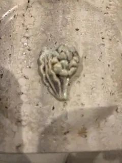 Item thumbnail for item 9eed5ff2-8af6-4f98-a5f9-42e50d238425