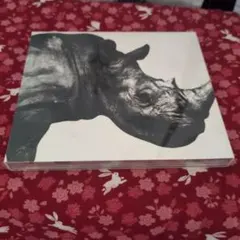 Item thumbnail for item 22684347-86db-4a48-a3b1-2093575b5b5d