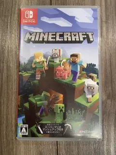 マイクラ　ソフト