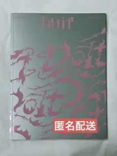 StrayKids スキズ DO IT doit アルバム 開封済み