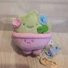 すみっコぐらしコレクション　かんようしょくぶつ