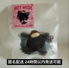 NCT WISH ウィシ FANLIGHT DOLL KEY RING リク