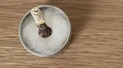 雨氣　uqui 貝殻イヤリング