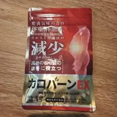 カロバーンEX 30日分 ダイエット サプリ エラグ酸 体脂肪 BMI値のサムネイル