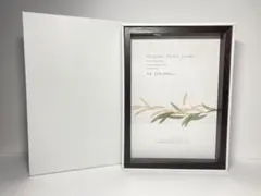 Item thumbnail for item d280b21b-e5aa-48ca-b539-5a05e94fa0fe