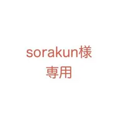 sorakun様専用