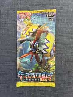 キミを待つ島々 パック sm2K 新品未開封 ポケモン カード ゲーム