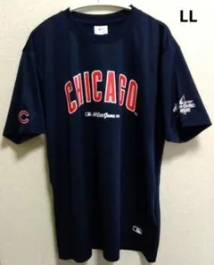 Item thumbnail for item 813f398f-900c-4a79-8b34-94575fce35ec