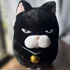 【美品】ひげまんじゅう BIGぬいぐるみ 黒豆（くろまめ） アミューズ 猫