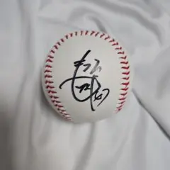 森下翔太 2025年侍ジャパン日本代表 ロゴ入り直筆サインボール 証拠