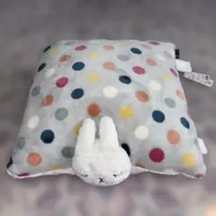 Item thumbnail for item 29e7012e-9ff8-43ec-95ff-d6868696af67