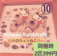 ⑩ ハロウィンねこちゃん　ぐでねこ　チャーム用パーツ