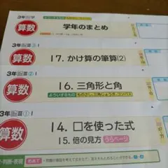 【商談中】　カラーテスト　3学期　小３　算数　2024