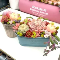 多肉植物寄せ植え2点セット ✩.*˚そのまま飾れる✩.*˚