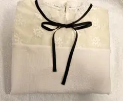 Item thumbnail for item a3bcf18a-3f8a-43d4-be08-143d8699bc11