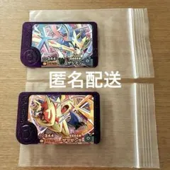 ポケモンフレンダ ザシアン ザマゼンタ