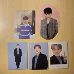 ウィンタートレカ ウジ 3枚セット