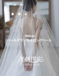 Item thumbnail for item 52349e31-2838-4bd3-b73c-2cca6f68eac9