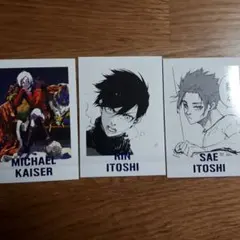 ブルーロック ぱしゃこれ